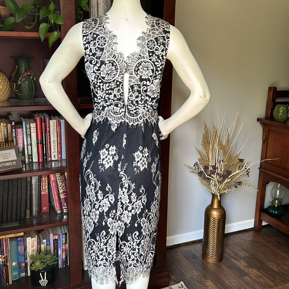 Erin Featherson Lace V Neck Cocktail Dress - Picture 6 of 15
